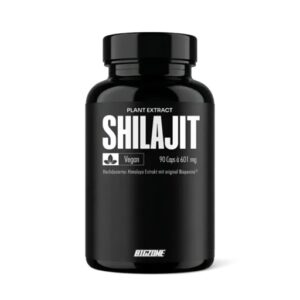Big Zone Shilajit 90 Kapseln
