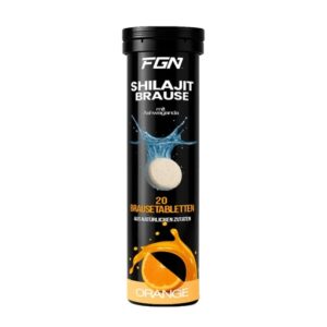 FGN Shilajit 20 Brausetabletten